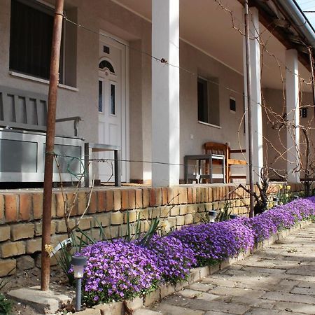 Julia Apartman Pacir Esterno foto