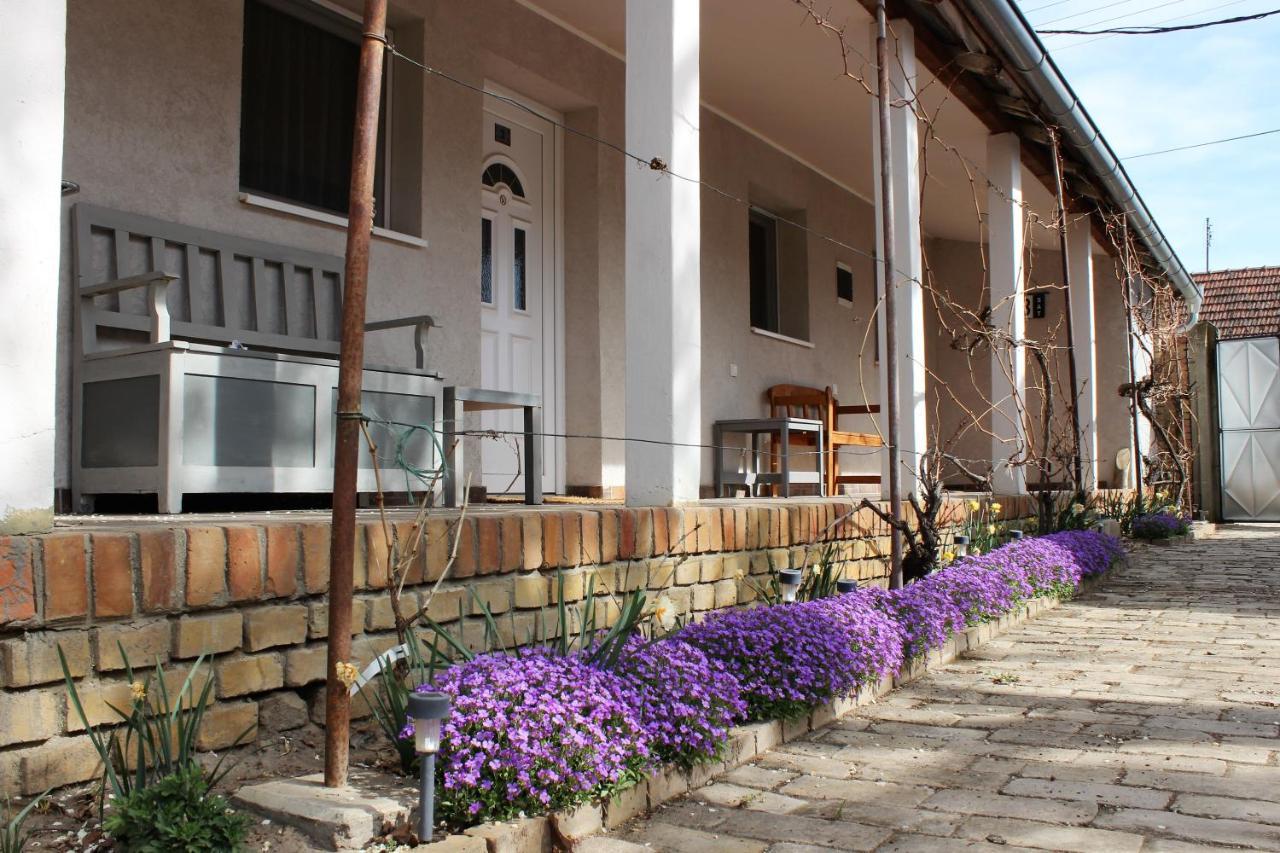 Julia Apartman Pacir Esterno foto
