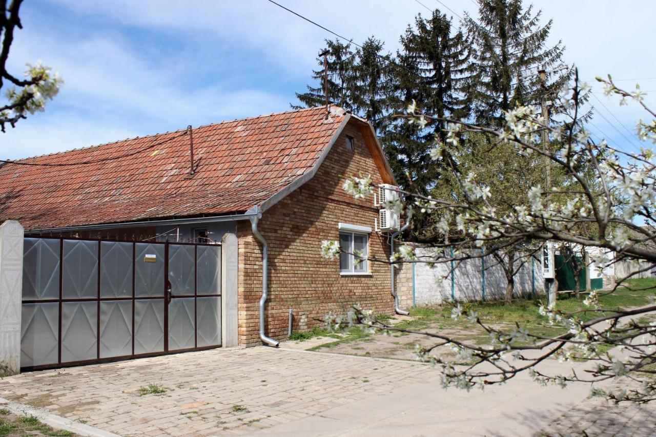 Julia Apartman Pacir Esterno foto